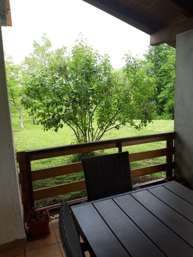 Apartment Sanja Smoljanac Εξωτερικό φωτογραφία
